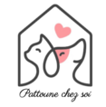 Pattoune chez soi - Pau et Alentours